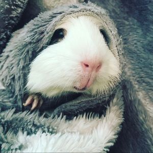 Meet your Posher, Jayda